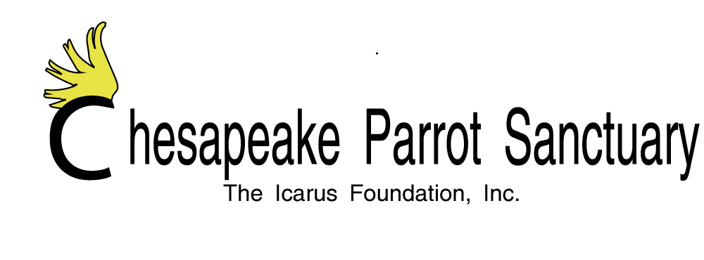 Logo Design by ghostimagery for The Icarus Foundation, Inc. | Design #4671056