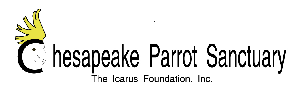 Design de Logo par ghostimagery pour The Icarus Foundation, Inc. | Design #4671063