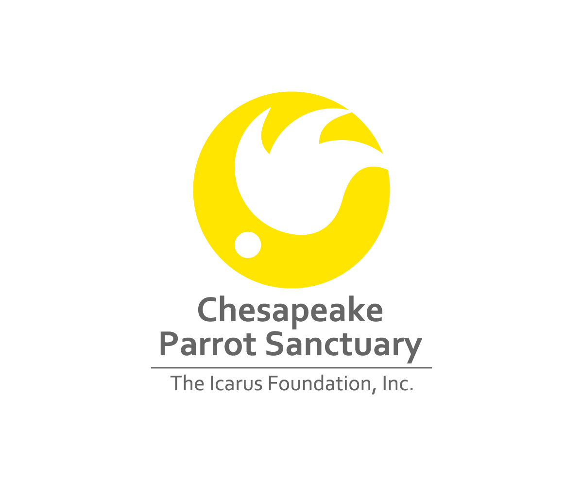 Logo-Design von faguns für The Icarus Foundation, Inc. | Design #4661252