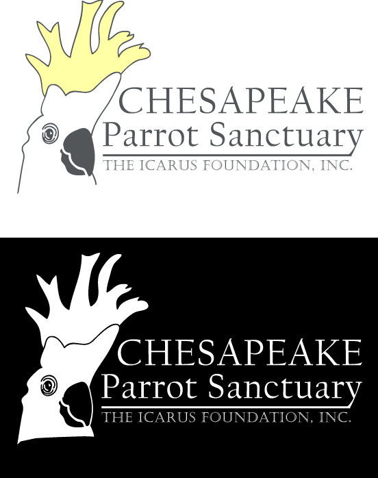 Logo Design by Made by Molly for The Icarus Foundation, Inc. | Design #4664132