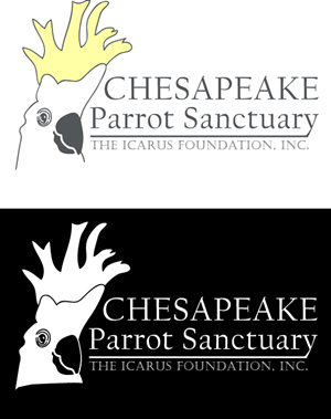 Logo Design by Made by Molly