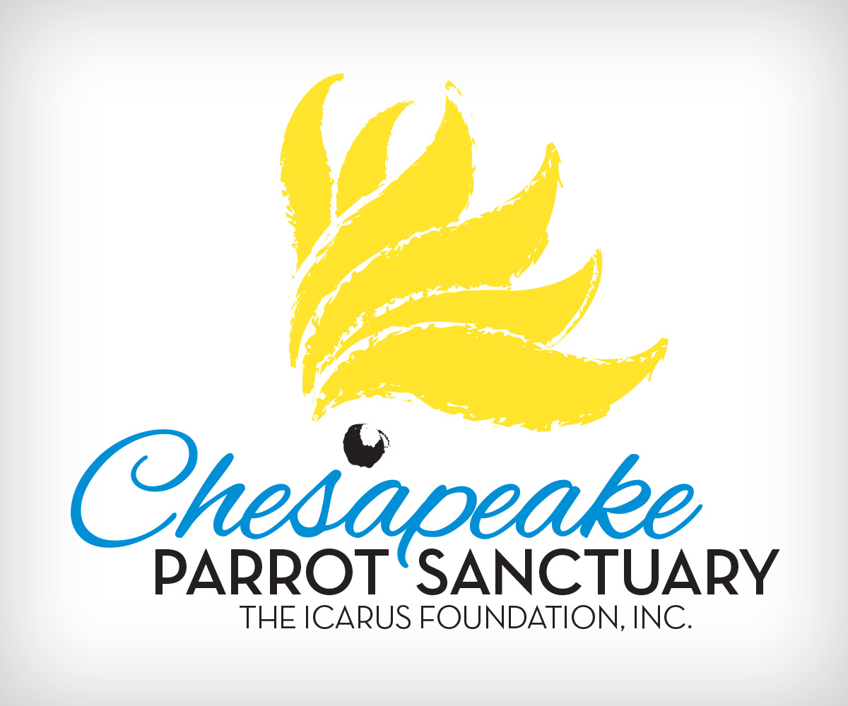 Logo Design by Andysign for The Icarus Foundation, Inc. | Design #4708043