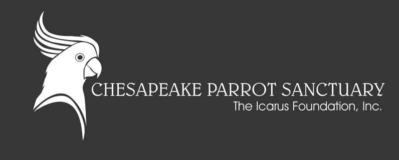 Logo Design by NILDesigns for The Icarus Foundation, Inc. | Design #4651965