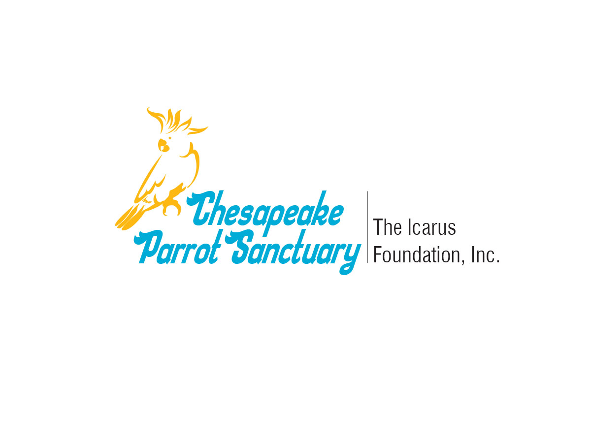 Logo Design by saji for The Icarus Foundation, Inc. | Design #4659733