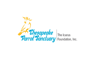 Logo Design by saji