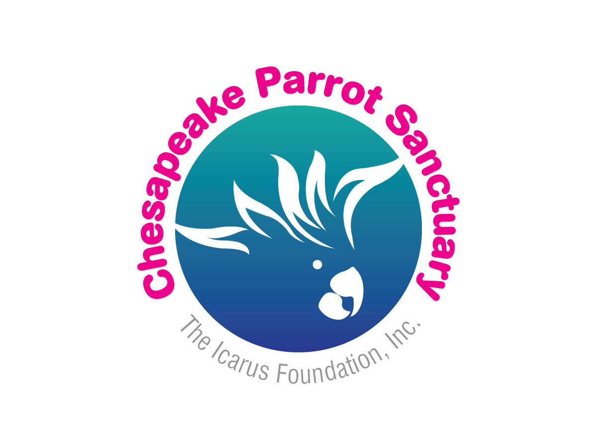 Logo Design by saji for The Icarus Foundation, Inc. | Design #4678880