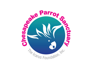 Design de Logo par saji pour The Icarus Foundation, Inc. | Design : #4678880