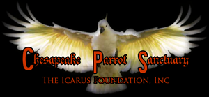 Logo Design by himangini.lijo