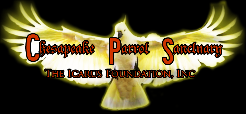 Design de Logo par himangini.lijo pour The Icarus Foundation, Inc. | Design #4662006