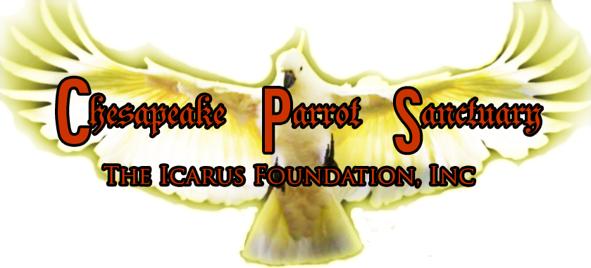 Design de Logo par himangini.lijo pour The Icarus Foundation, Inc. | Design #4662017