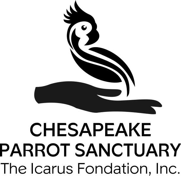 Design de Logo par Radmila pour The Icarus Foundation, Inc. | Design #4738873