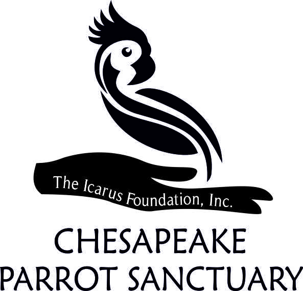 Logo Design by Radmila for The Icarus Foundation, Inc. | Design #4745958