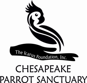 Design de Logo par Radmila pour The Icarus Foundation, Inc. | Design : #4745958