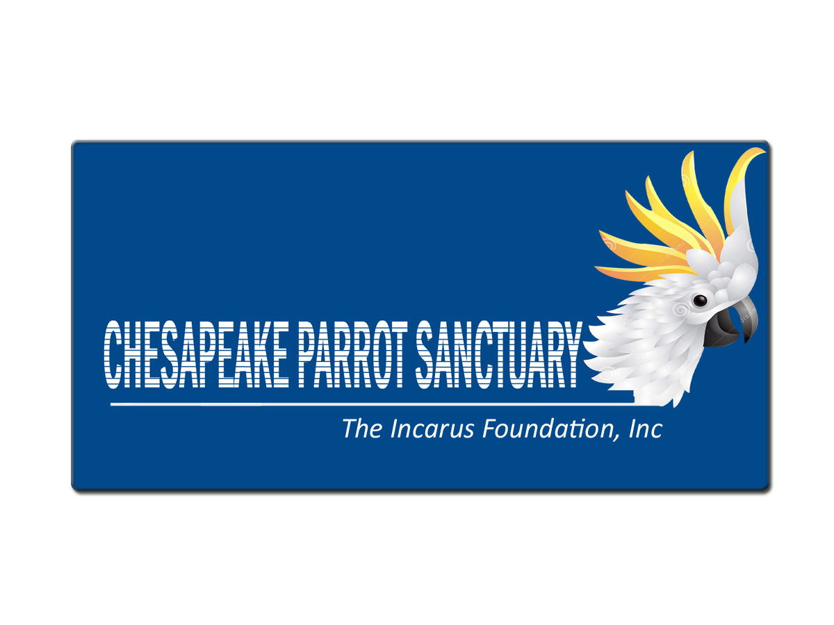 Design de Logo par suchitra pour The Icarus Foundation, Inc. | Design #4660462