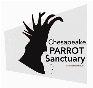 Design de Logo par Catty lil Sew n Sew pour The Icarus Foundation, Inc. | Design : #4702398