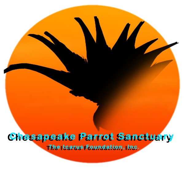 Design de Logo par TZãrtz pour The Icarus Foundation, Inc. | Design #4726779