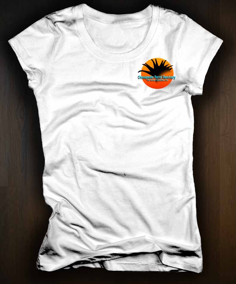 Logo Design by TZãrtz for The Icarus Foundation, Inc. | Design #4752059