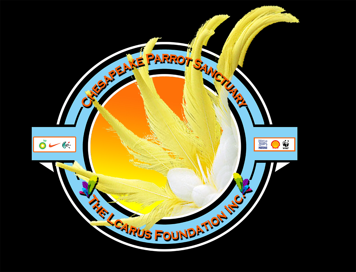 Design de Logo par TZãrtz pour The Icarus Foundation, Inc. | Design #4784201