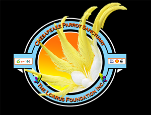 Design de Logo par TZãrtz pour The Icarus Foundation, Inc. | Design : #4784201