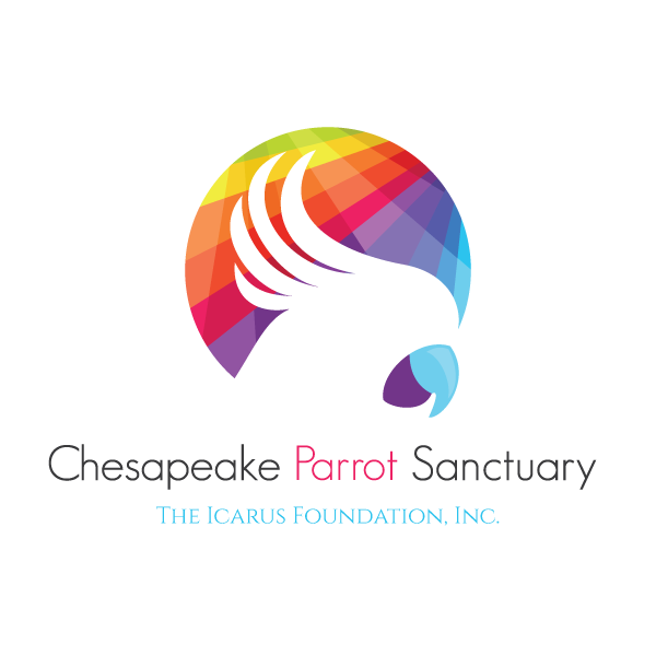 Design de Logo par dalia sanad pour The Icarus Foundation, Inc. | Design #4663072