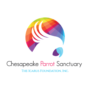 Logo Design by dalia sanad for The Icarus Foundation, Inc. | Design #4663072