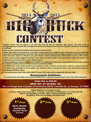 Flyer Design by Laurence N. Corpuz for this project | Design: #4716213