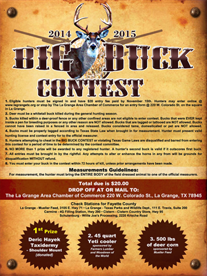 Flyer Design by Laurence N. Corpuz for this project | Design: #4730272