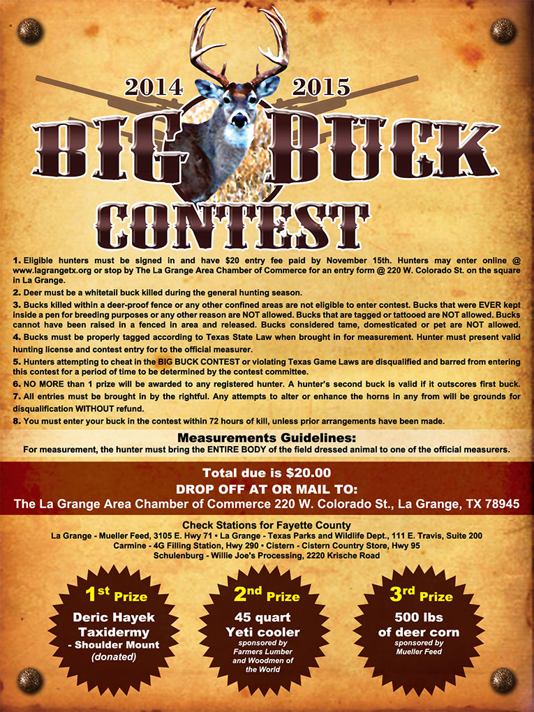 Flyer Design by Laurence N. Corpuz for this project | Design #4730399