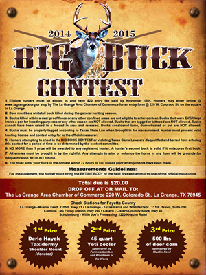 Flyer Design by Laurence N. Corpuz for this project | Design: #4730399