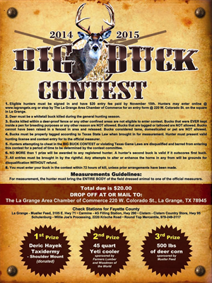 Flyer Design by Laurence N. Corpuz for this project | Design: #4737605