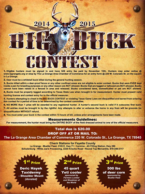 Flyer Design by Laurence N. Corpuz for this project | Design: #4737901
