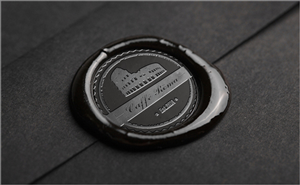 Logo Design by open_plan for this project | Design: #4679537