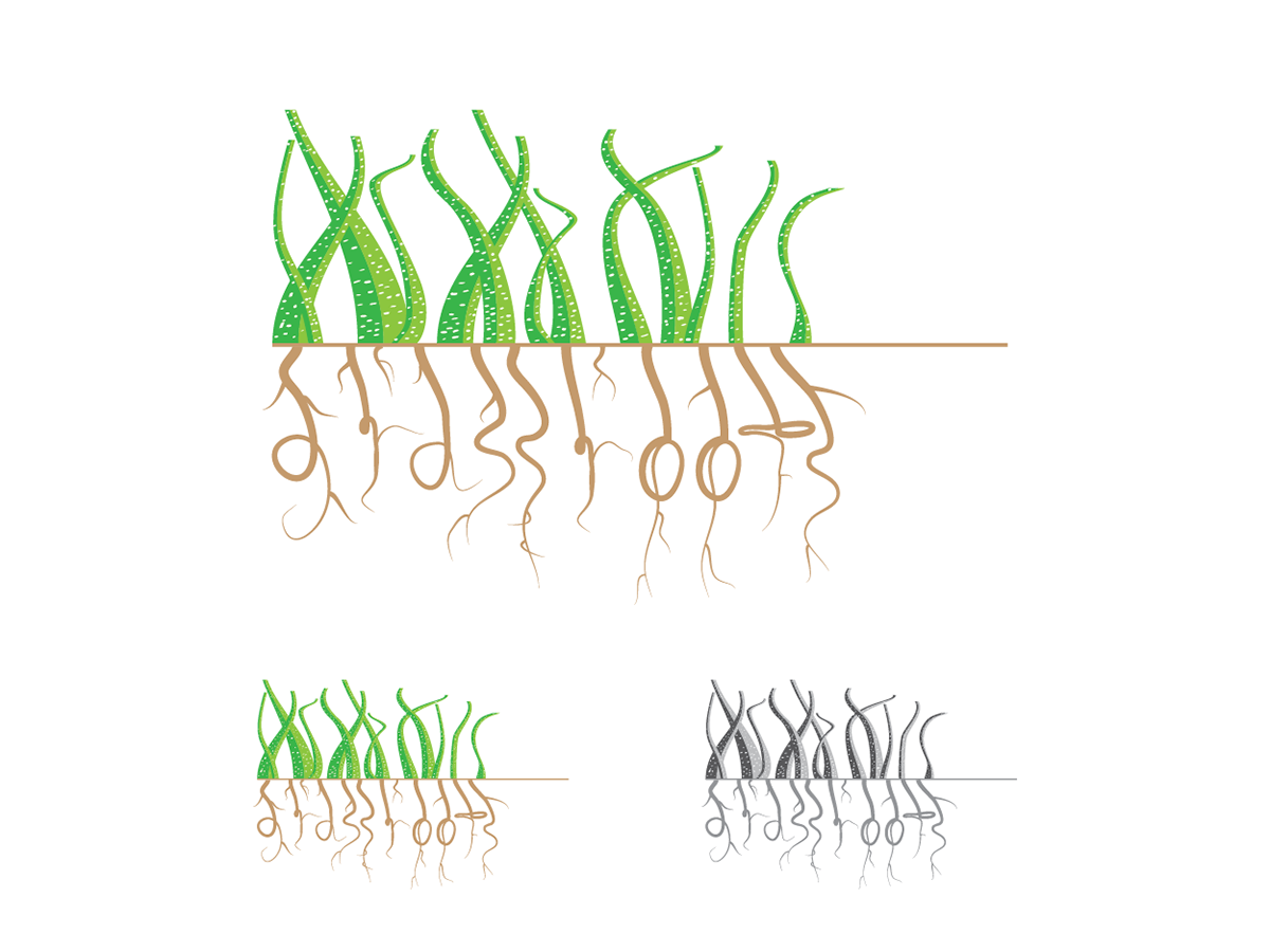 Logo Design by xy&z(ee) for Grassroots Local Market | Design #1325949