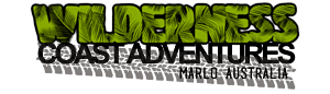 Logo Design by julie bee designs