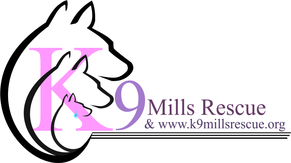 Logo Design by rajeew007 for this project | Design #4662345