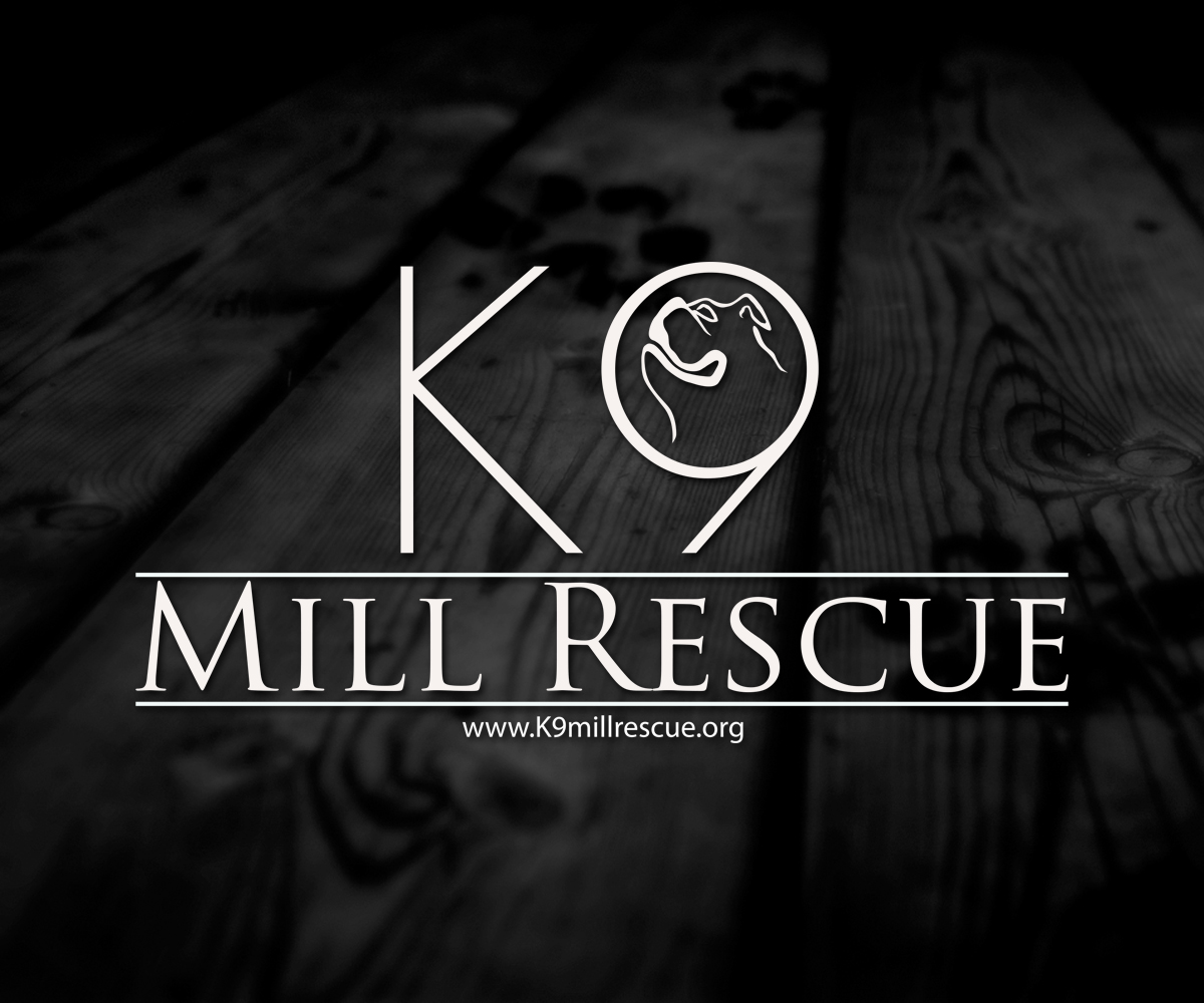 Logo Design by 507IW for this project | Design #4664724