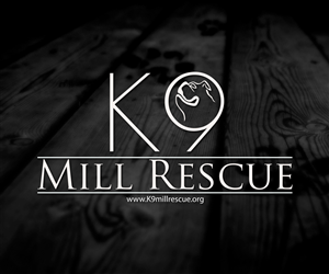 Logo-Design von 507IW für dieses Projekt | Design: #4664724