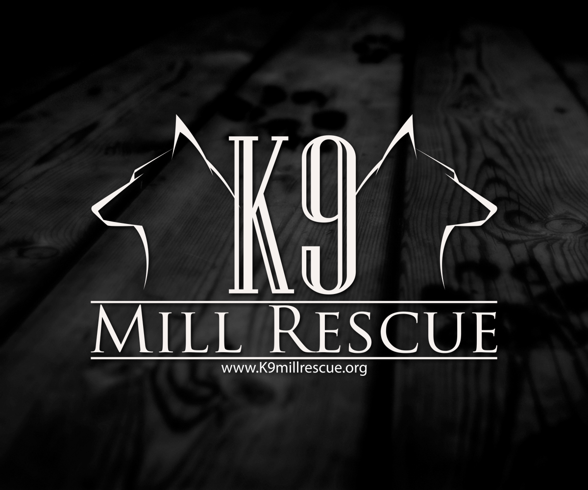 Logo Design by 507IW for this project | Design #4664726