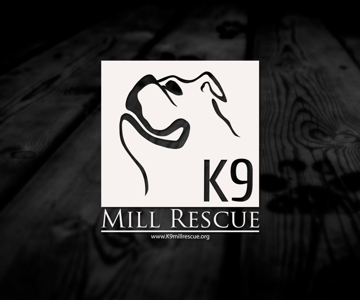 Design de Logo par 507IW pour ce projet | Design #4664734