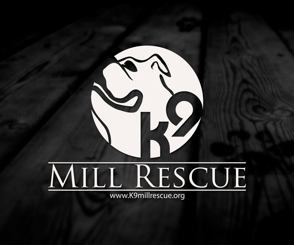 Design de Logo par 507IW pour ce projet | Design #4664737