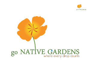 Logo Design by Anamariad