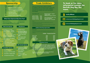 Flyer Design by MNM for this project | Design: #1330704
