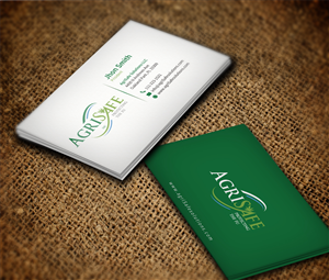Business Card Design by Ak Graphics Solutions for Premier Risk Solutions LLC | Design: #4674677