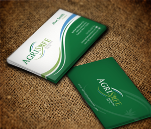 Business Card Design by Ak Graphics Solutions for Premier Risk Solutions LLC | Design: #4674719