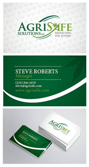 Business Card Design by anamolly for Premier Risk Solutions LLC | Design #4676476