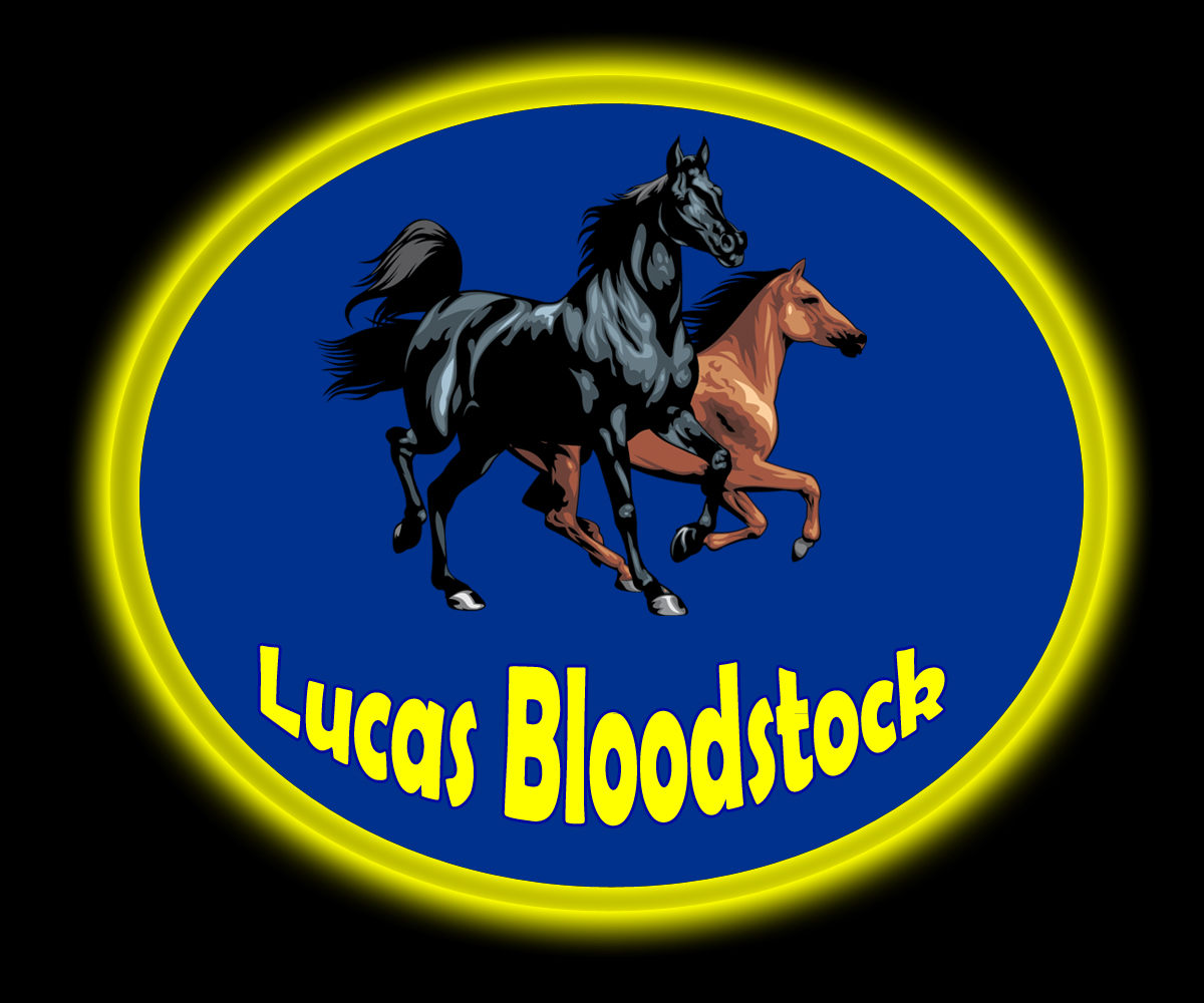 Logo-Design von kiRuZsal für dieses Projekt | Design #1327849