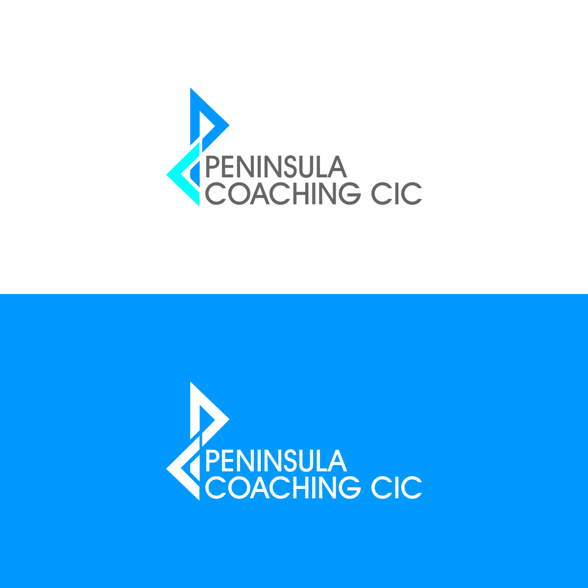 Logo Design by creativeride for this project | Design #4675338