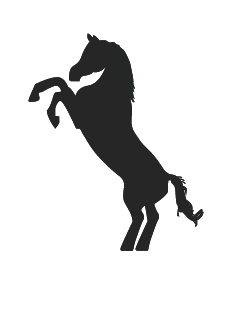Logo Design by Shark1906