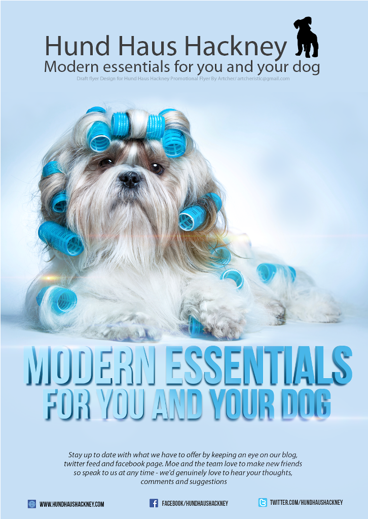 Design de Flyer par Artcher pour ce projet | Design #4785594