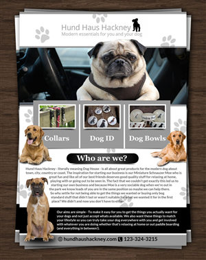 Flyer Design by ESolz Technologies